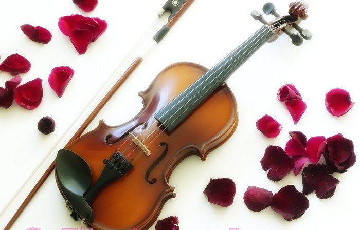 Violin