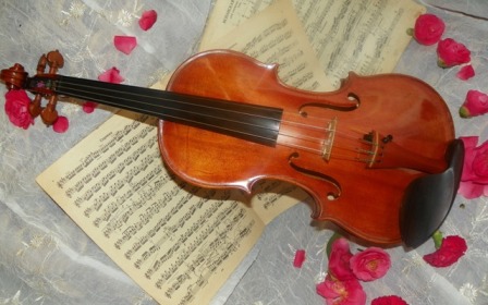 Violin